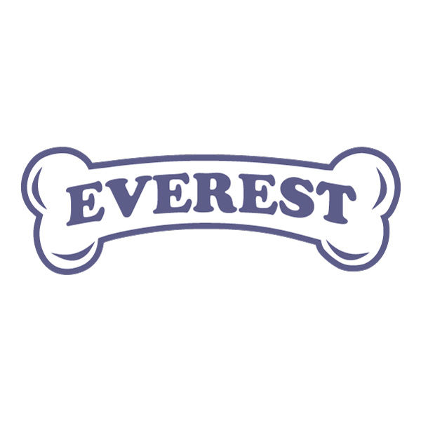 Everest PAW Patrol Bone Nameplate Flat Vector PNG Download vector illustration